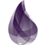 Elixir